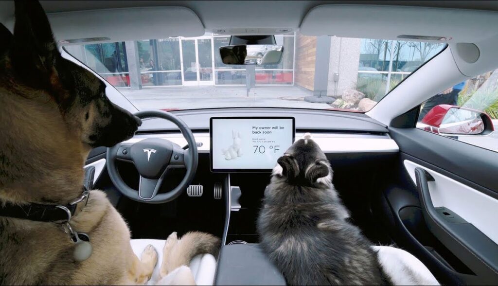 Tesla-Dog-Mode