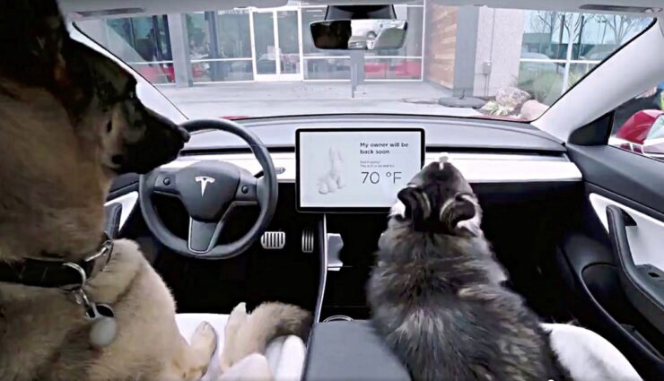 Tesla-Dog-Mode