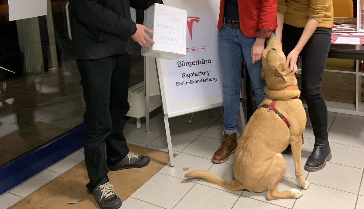 tesla sprechstunde grünheide willi hund 2