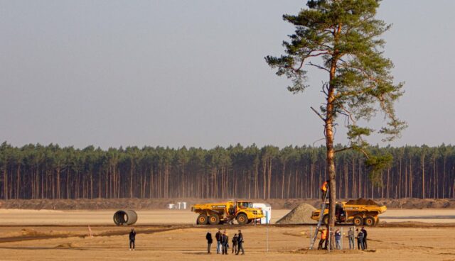 tesla giga grünheide apr20 baum2