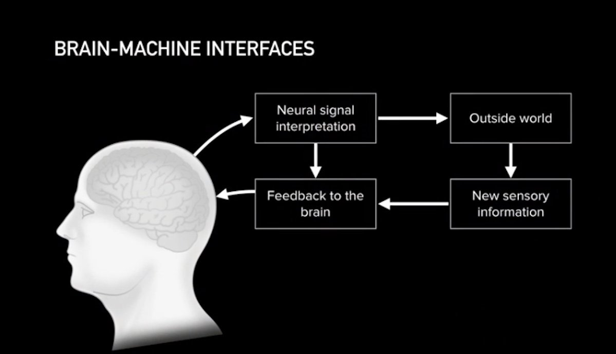 neuralink brain machine interface schaubild