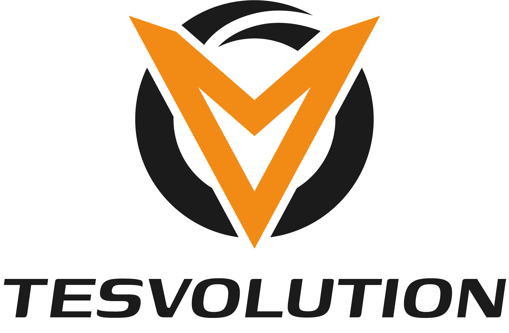 2022-01-18 Logo Tesvolution Combined Beneath