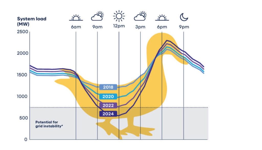 synergy australien solar duck photovoltaik