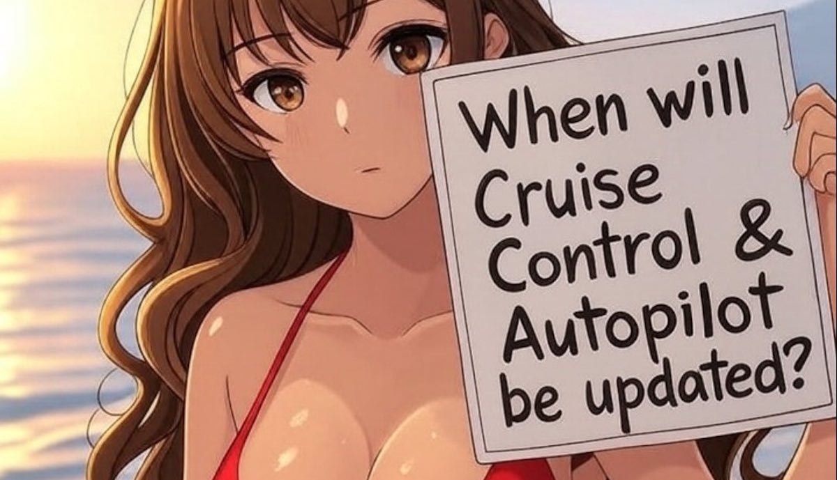 tesla autopilot europa cartoon appell