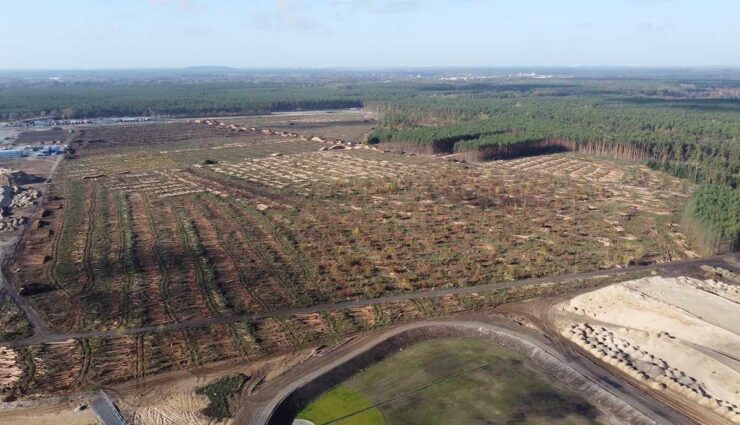 tesla gigafactory gruenheide gerodet 5nov22