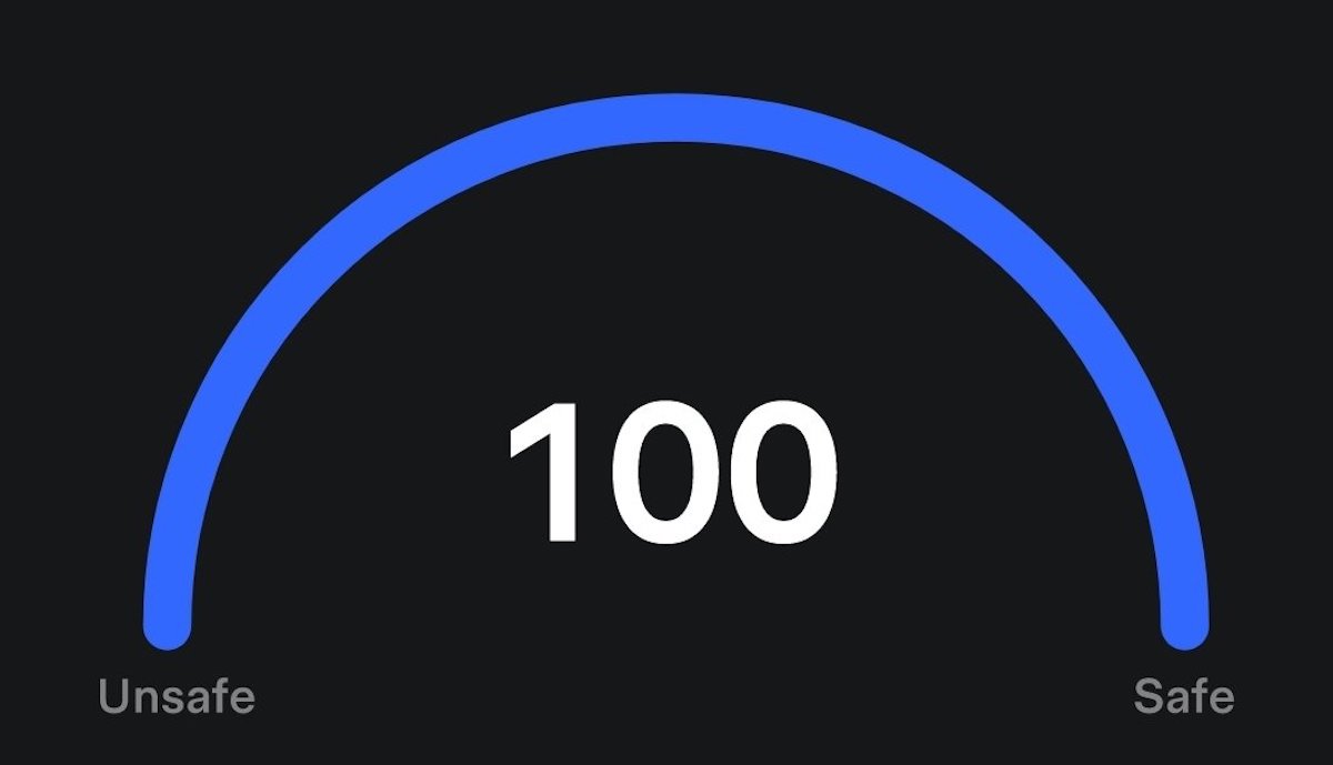 tesla safety score anzeige 100